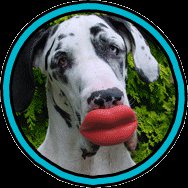 Humunga Lips Funny Rubber Pet Dog Toy Fetch Ball Large