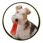 Humunga Tongue Mini Humorous Rubber Pet Dog Toy Fetch Ball Small