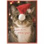 Holiday Cats Boxed 4" x 6" Christmas Cards (20) Glitter & Foil Embellished with Envelopes
