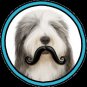 Humunga Stache Humorous Rubber Pet Dog Toy Fetch Ball Large