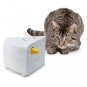 PetSafeÂ® Cheese Cat Toy Interactive Hide and Seek Mouse Hands Free Automatic