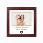 "Pawprints In Heaven, and in My Heart" Pet Cat Dog Memorial Picture Frame Espresso