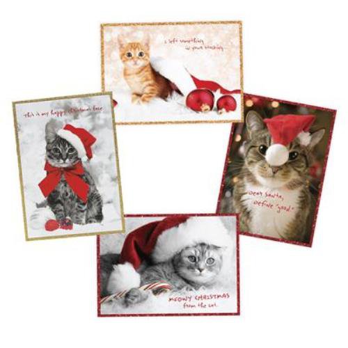 Holiday Cats Boxed 4