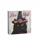 Black Cat In A Witch Hat Halloween Themed LED Lighted Wall Shelf Decor Box