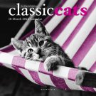 CLASSIC CATS by David McEnery 2022 Mini CALENDAR Photograph Art 7" X 7" New!