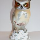 Fenton Glass Natural Owl Figurine Sand Carved Snowy Owl Ltd Ed of 45 FAGCA Easton