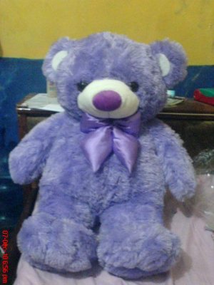Teddy bear cute purple
