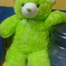 Teddy bear doll go green