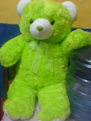 Teddy bear doll go green