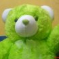 Teddy bear doll go green