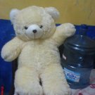 Teddy bear doll light brown