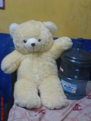 Teddy bear doll light brown