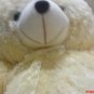 Teddy bear doll light brown