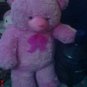 Teddy bear doll pink