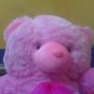 Teddy bear doll pink