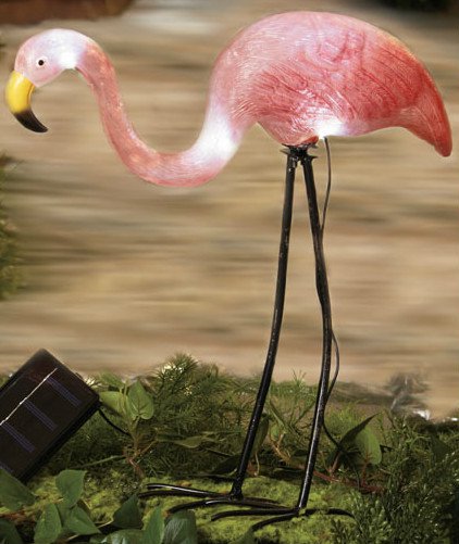 flamingo garden resort
