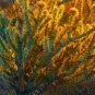 Golden Cactus