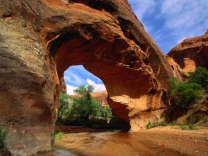 Glen Canyon Coyote Natural Bridge