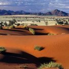 Desert Landscape