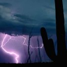 Saguaro Lightning Storm