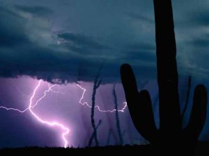 Saguaro Lightning Storm