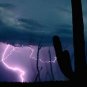 Saguaro Lightning Storm