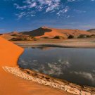 A Welcome Desert Oasis
