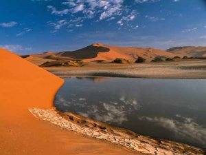 A Welcome Desert Oasis