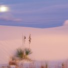 Full Moon Over White Sands
