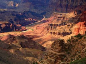 Grand Canyon Beauty