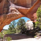 Natural Arch