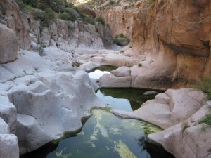 Horse Camp Canyon