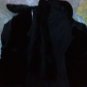 Gallery Fur Trim Trench Coat with REMOVABLE LINING, Hood and Collar