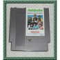 ANTICIPATION video game for the Nintendo NES system