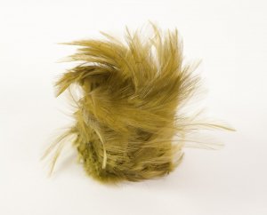 Green Feather Bun Wrap