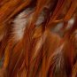 Feather Mini Skirt