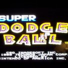 Super Dodge Ball  Nintendo/NES Cart Only CLEANED EUC