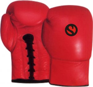 Top Quality Boxing Gloves