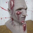 SILICONE MASK "Zombie" From Shattered FX, not cfx or spfx