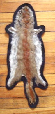Have Small Mammal Fur Alum Tanned for Rug or Wall Decor use