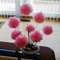 Origami Tissue Paper Folded Flower Craft Handmade Gift for Special Day or Decor