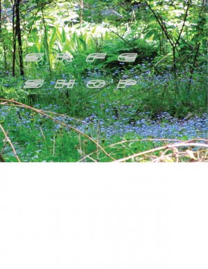 Blue n Bramble