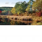 Autumn Pond
