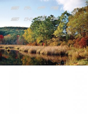 Autumn Pond