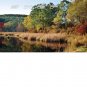 Autumn Pond