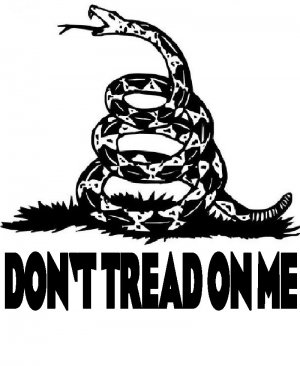 Don't tread on me ! ASH GRAY Tee Adult LARGE