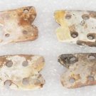 ANCIENT PRECOLOMBIAN TOLTEC SHELL WARRIOR'S BADGE C.600-800 AD