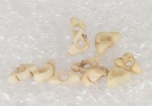 ANCIENT PRECOLOMBIAN MEZCALA TRIANGULAR STONE BEADS.