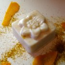 Orange Apricot Scrub (goat's milk soap)