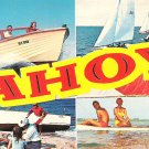 P55285 AHOY Postcard